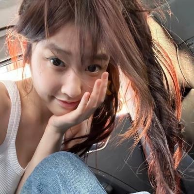 大象与小蝶物语